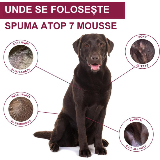 Dermoscent Atop 7 Mousse – Spumă Dermatologică pentru Câini și Pisici – 150 ml